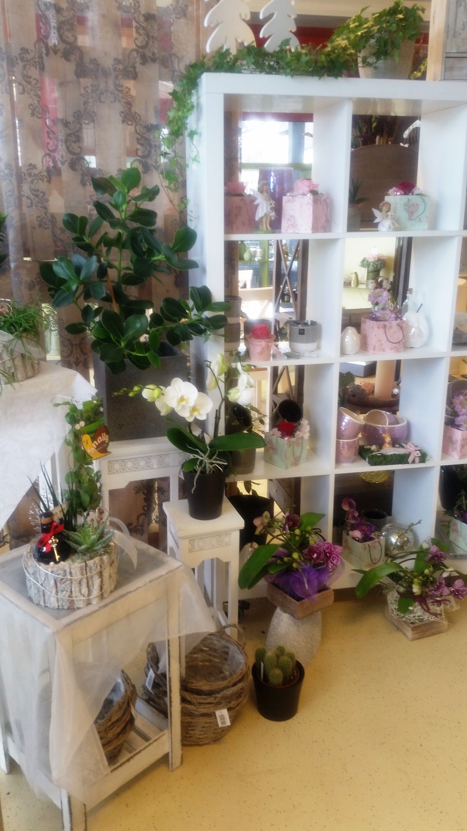 hollenstein blumengarten ag