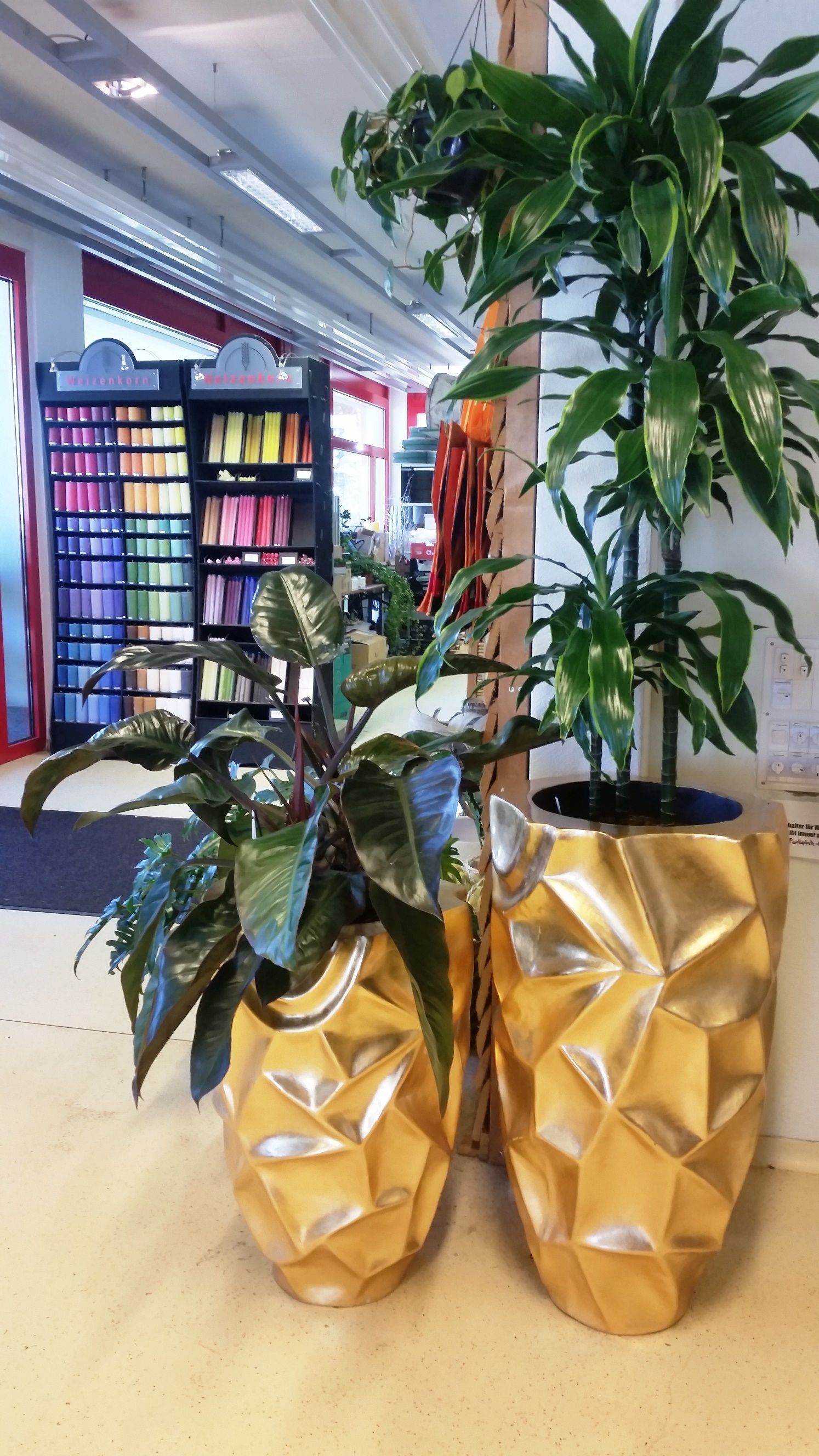 hollenstein blumengarten ag