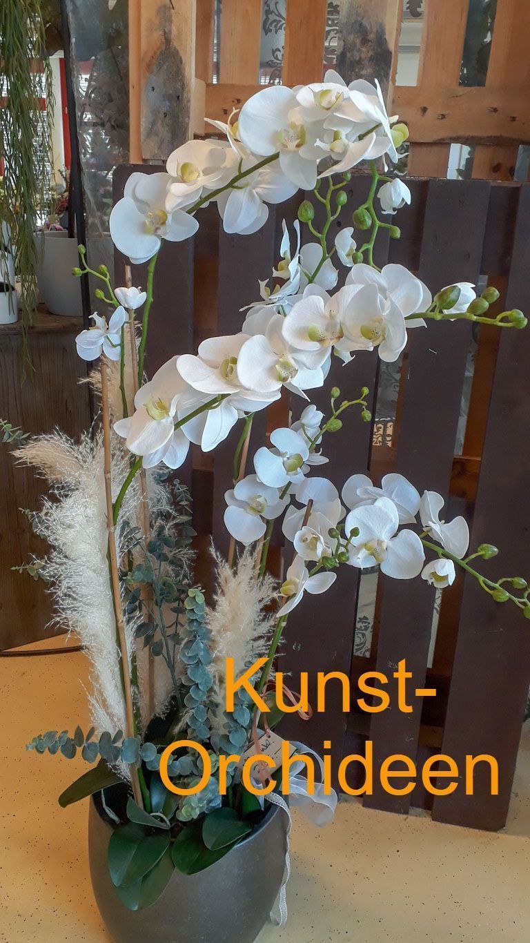 hollenstein blumengarten ag