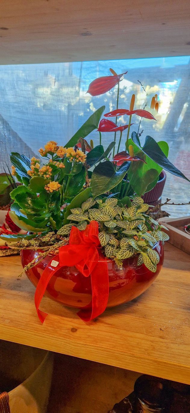 hollenstein blumengarten ag