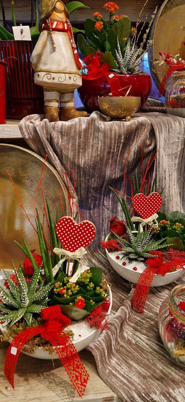 hollenstein blumengarten ag