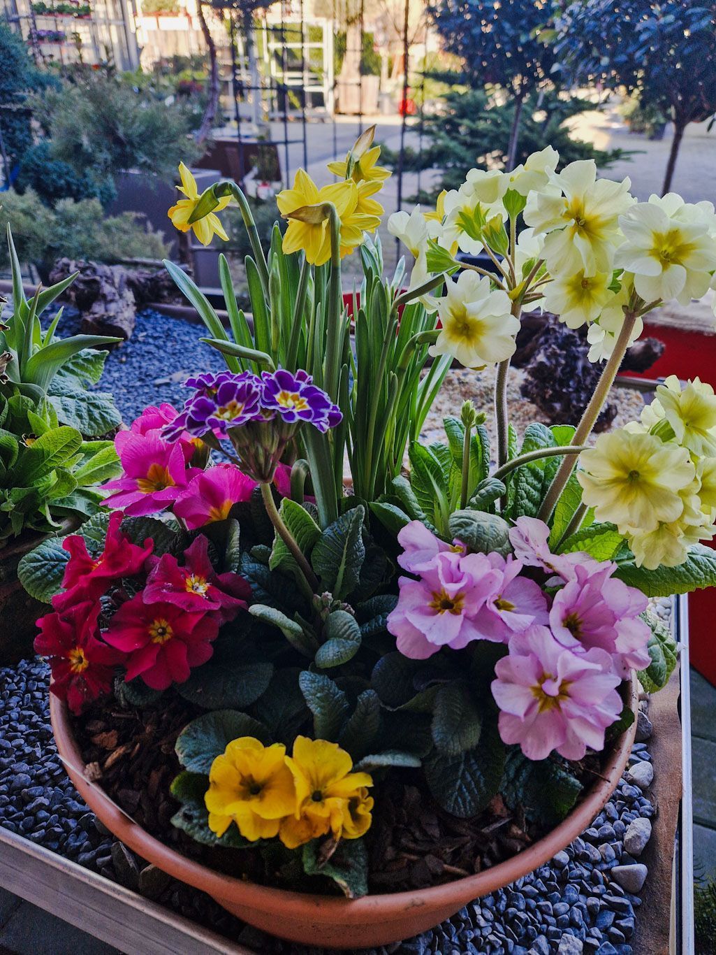 Gartenanlage - hollenstein blumengarten AG