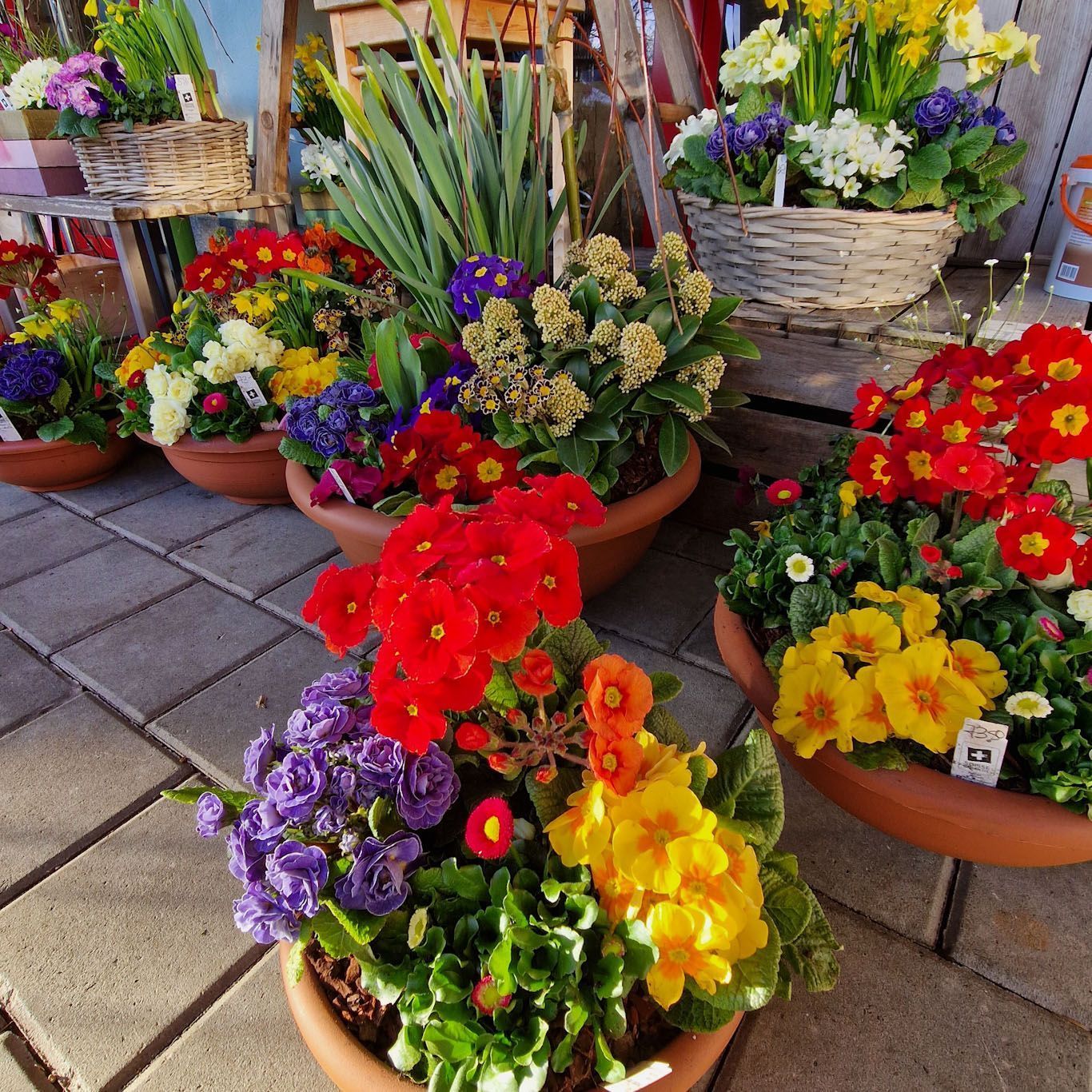 Gartenanlage - hollenstein blumengarten AG