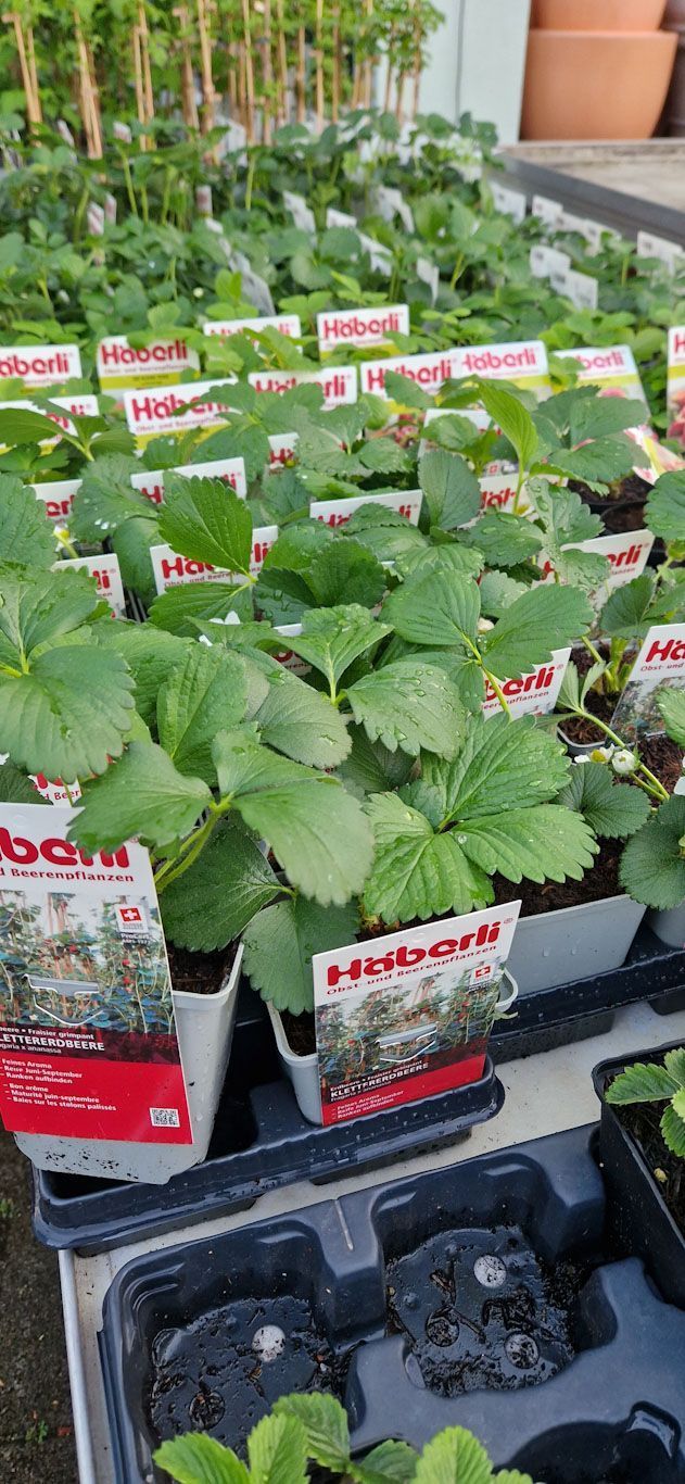 aus recyceltem Material