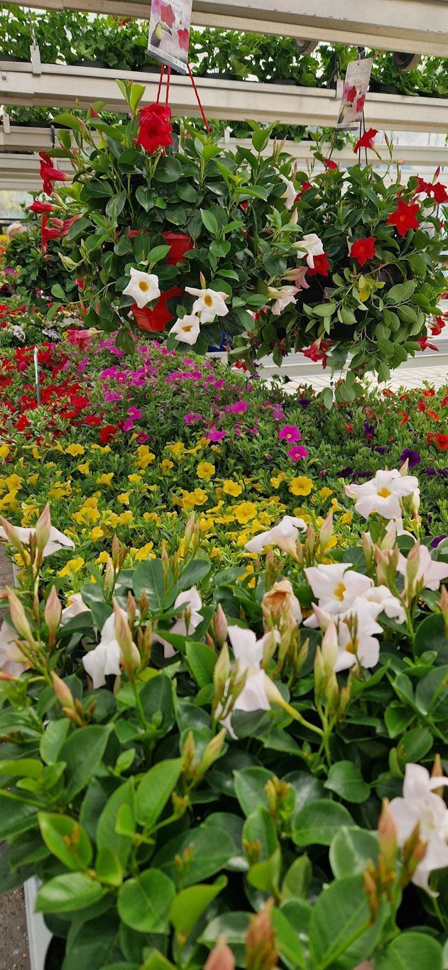 Gartenanlage - hollenstein blumengarten AG