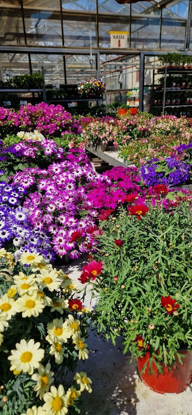 Gartenanlage - hollenstein blumengarten AG