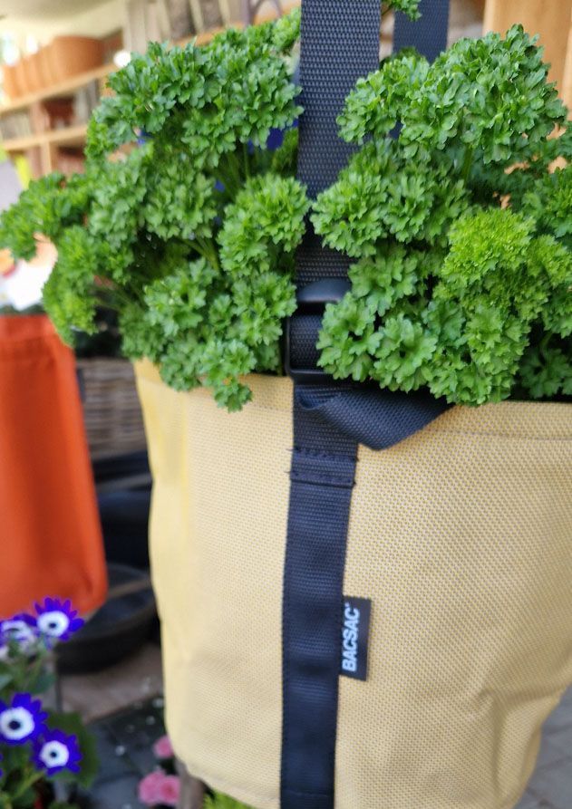 Gartenanlage - hollenstein blumengarten AG