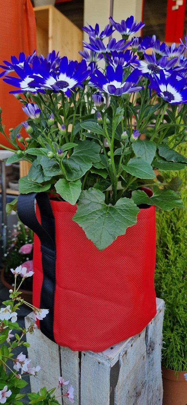 Gartenanlage - hollenstein blumengarten AG