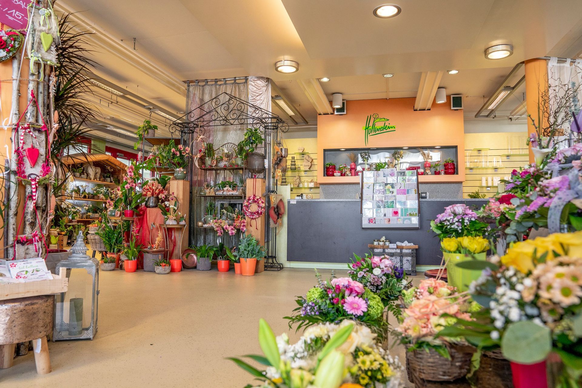 hollenstein blumengarten ag