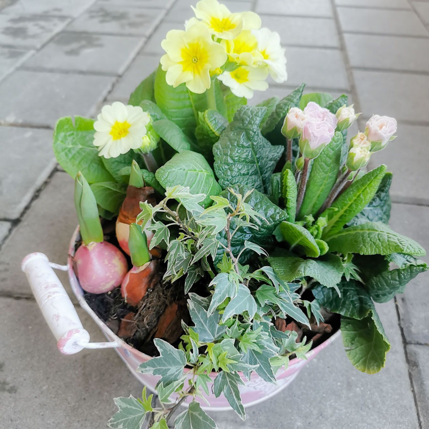 Gartenanlage - hollenstein blumengarten AG