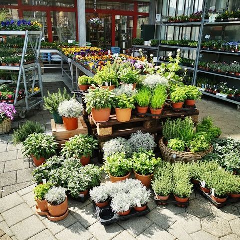 Gartenanlage - hollenstein blumengarten AG