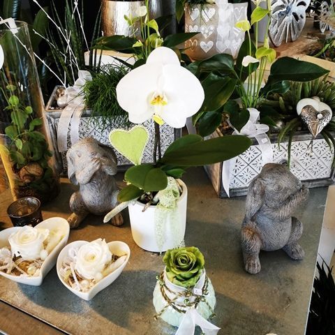 hollenstein blumengarten ag