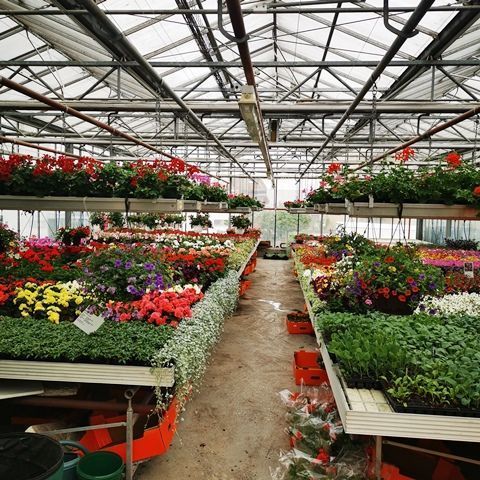 Gartenanlage - hollenstein blumengarten AG