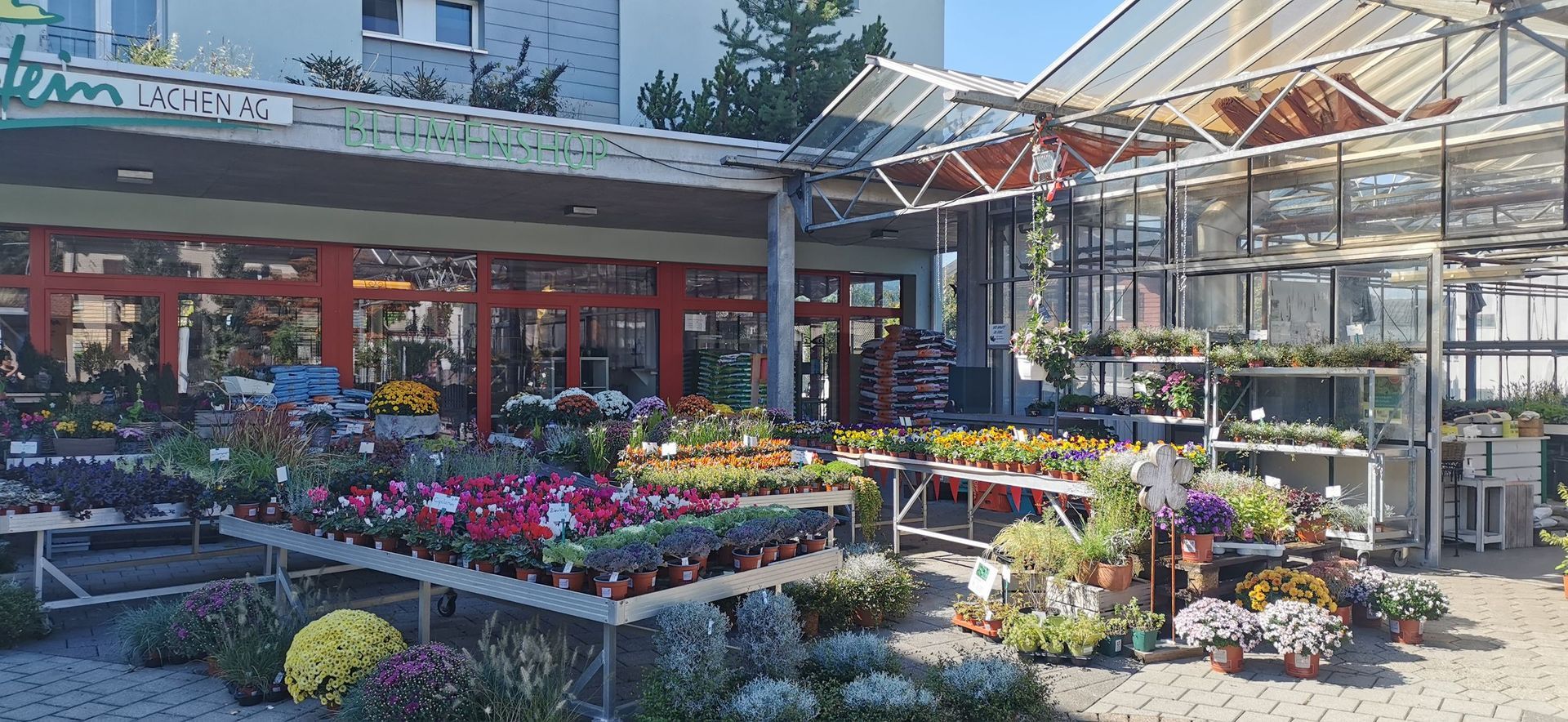 Gartenanlage - hollenstein blumengarten AG