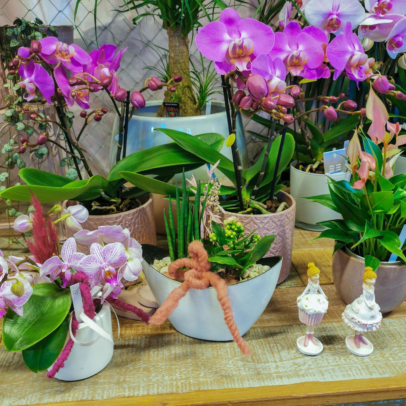 hollenstein blumengarten ag