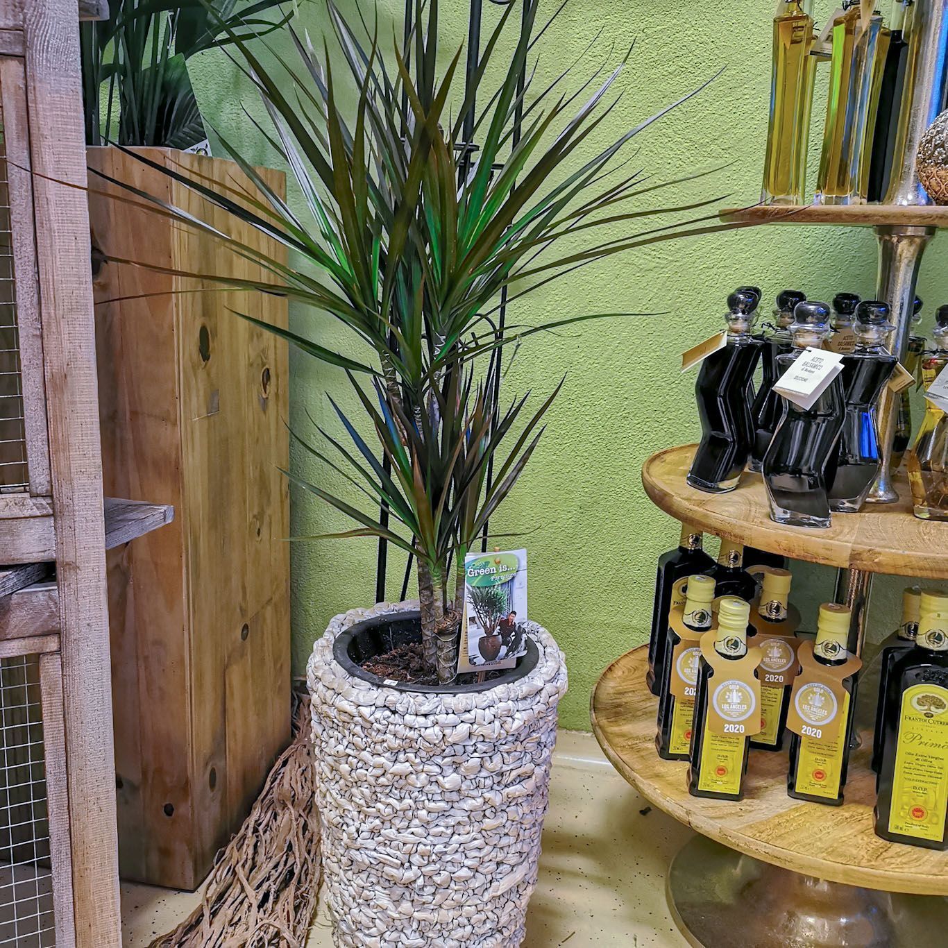 hollenstein blumengarten ag