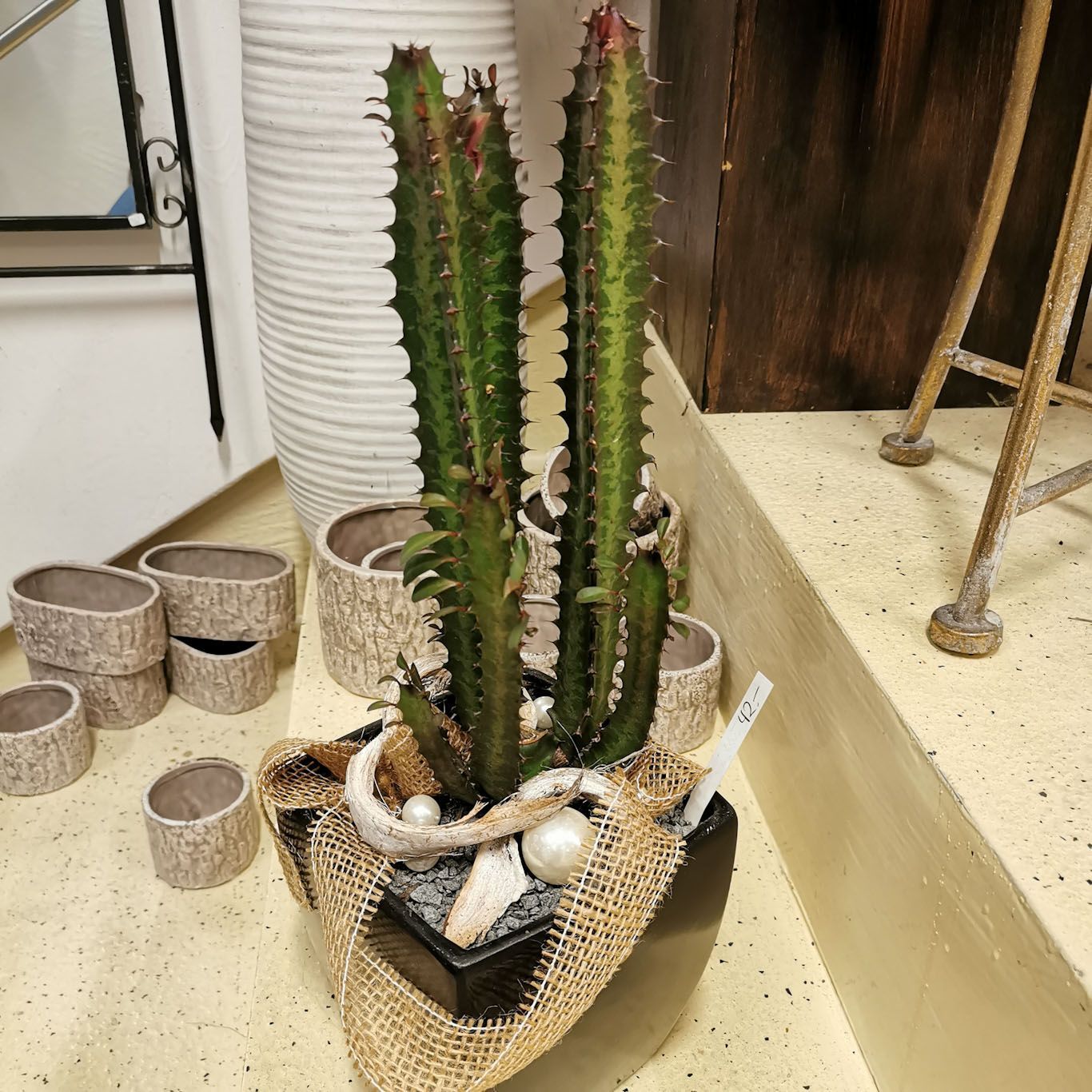 hollenstein blumengarten ag