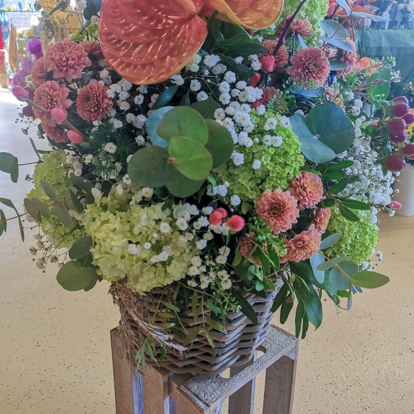 hollenstein blumengarten ag