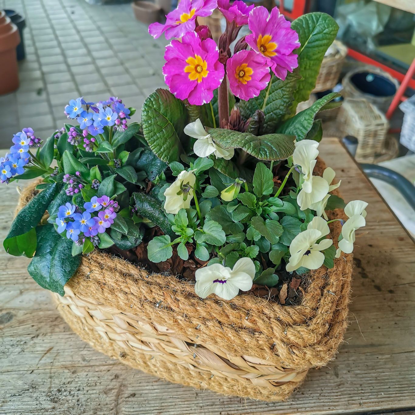 Gartenanlage - hollenstein blumengarten AG