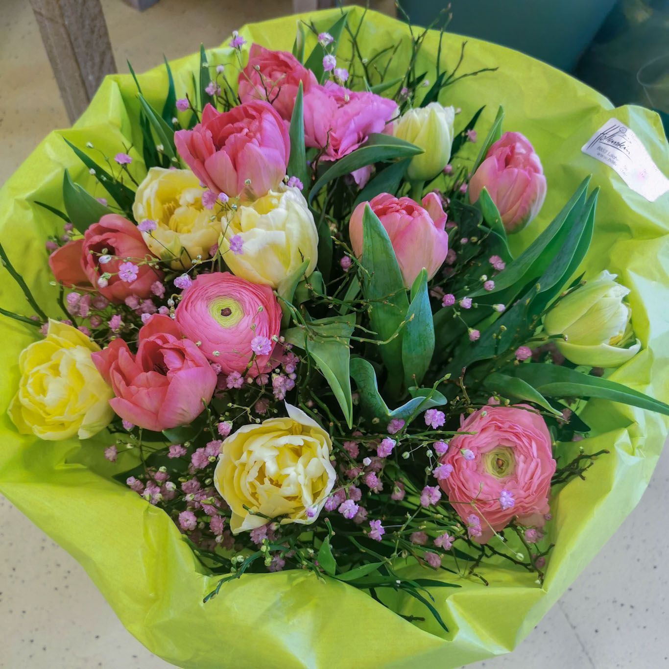 hollenstein blumengarten ag