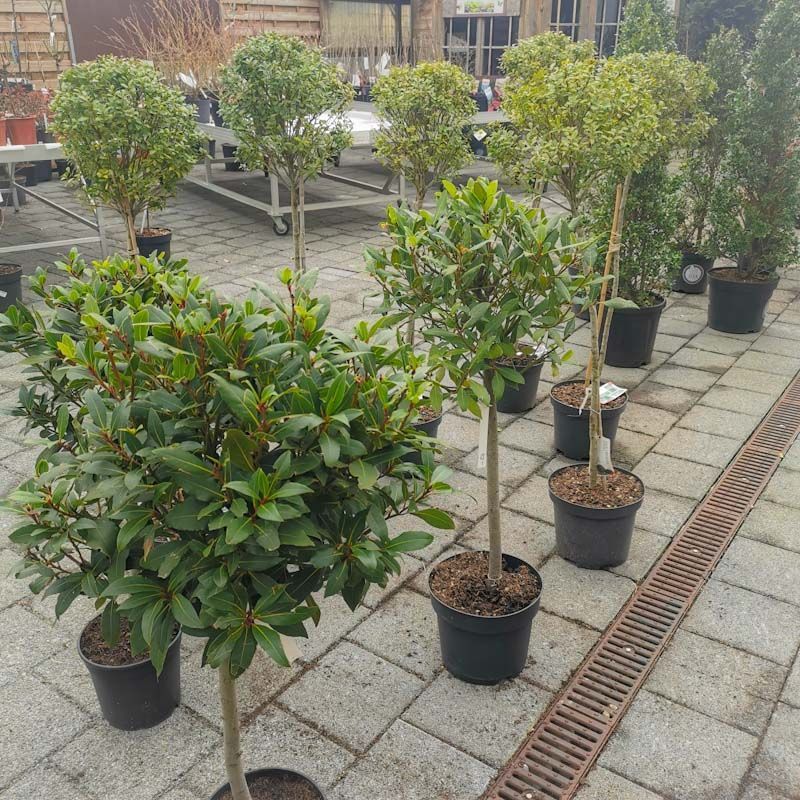 aus recyceltem Material