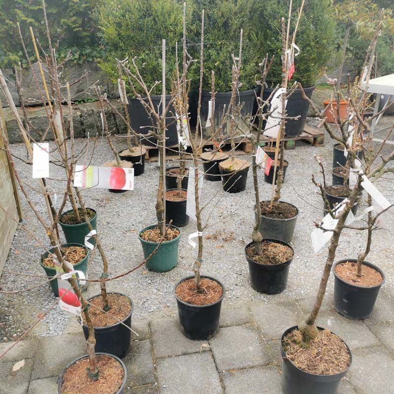 aus recyceltem Material