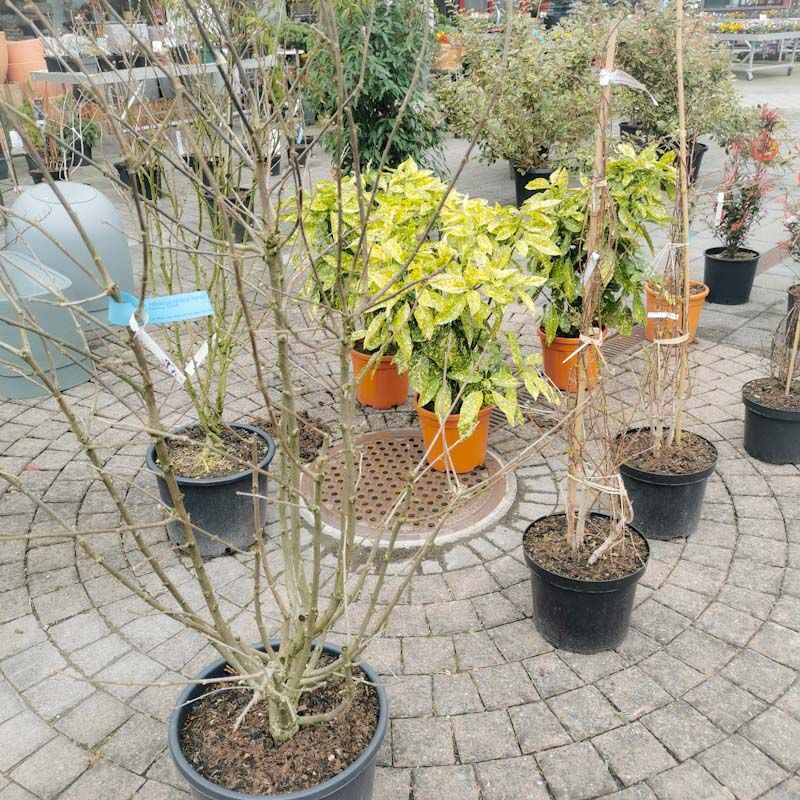 aus recyceltem Material