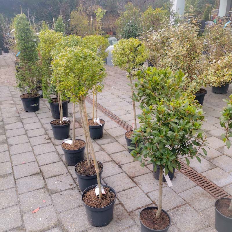 aus recyceltem Material