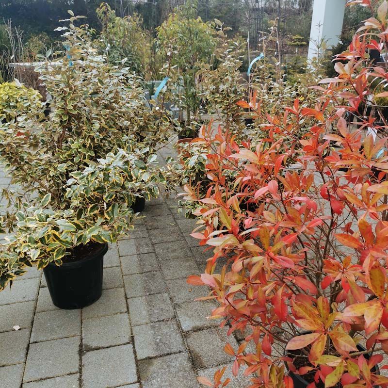 aus recyceltem Material