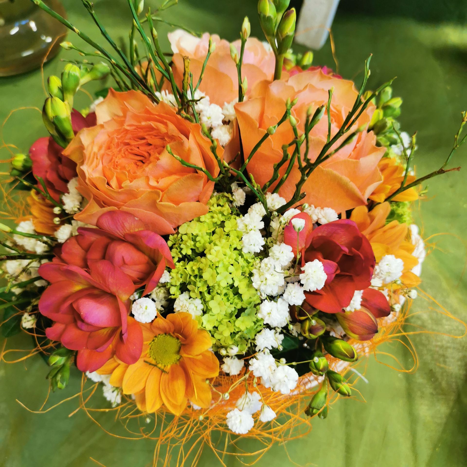 hollenstein blumengarten ag