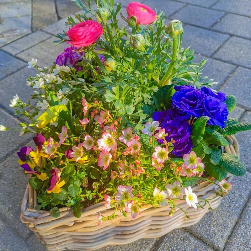 Gartenanlage - hollenstein blumengarten AG