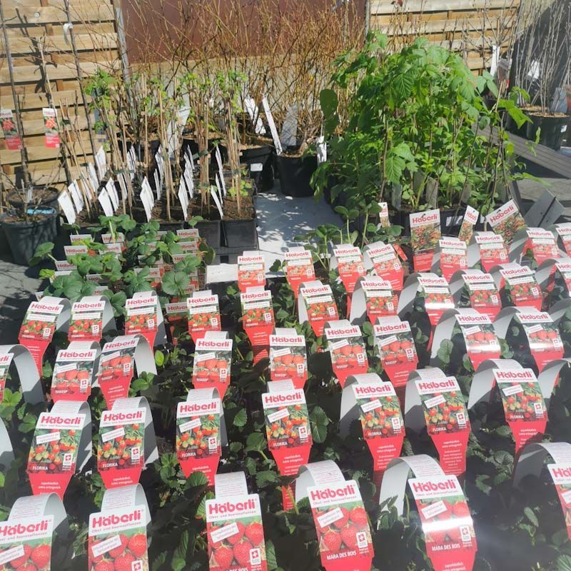 aus recyceltem Material