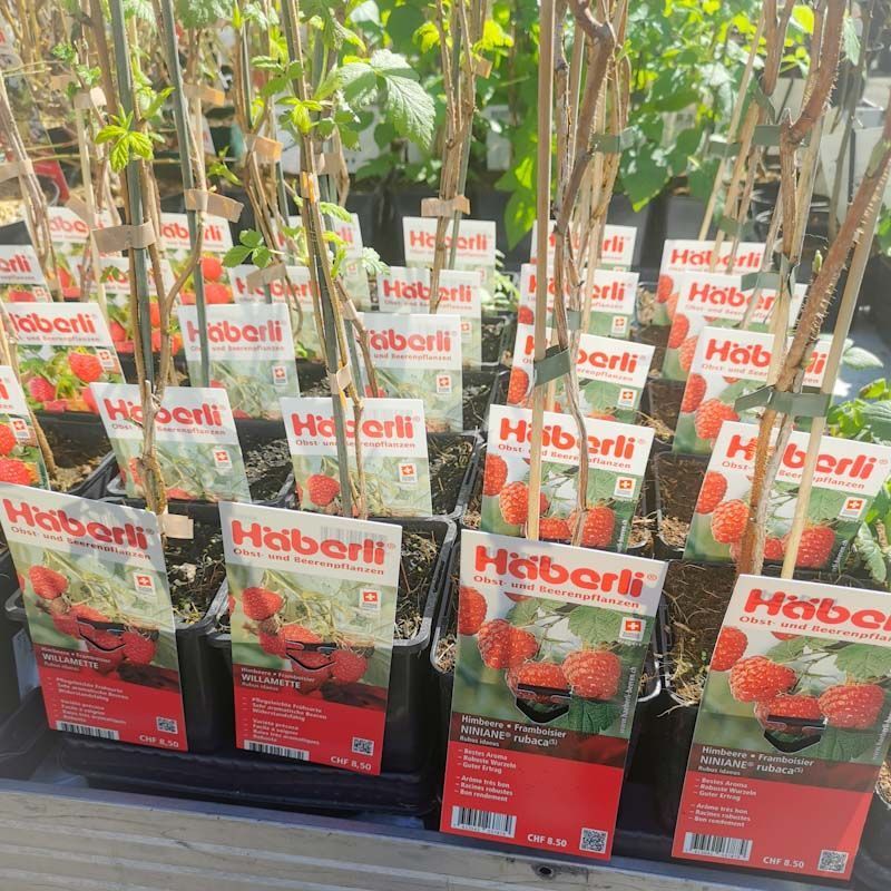 aus recyceltem Material