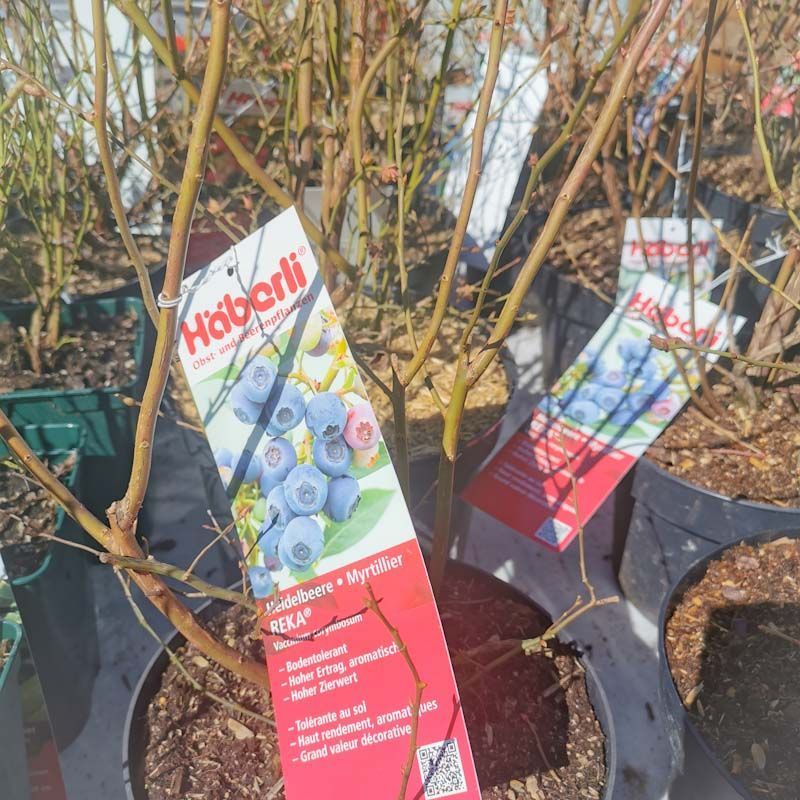 aus recyceltem Material