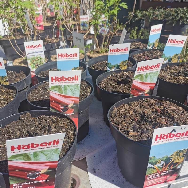 aus recyceltem Material