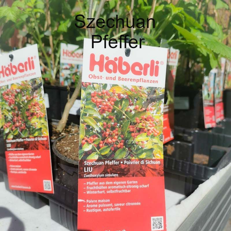 aus recyceltem Material