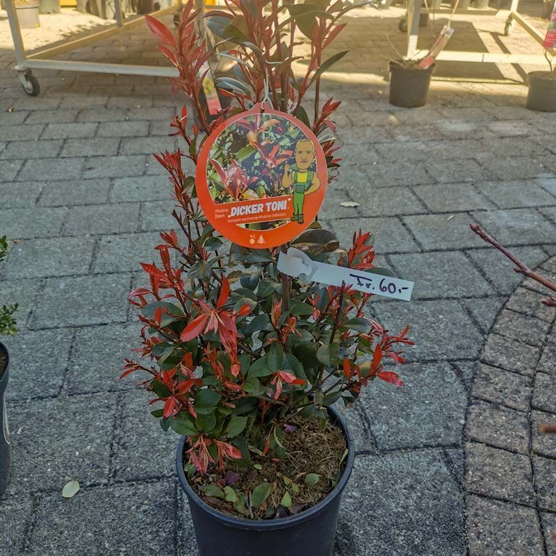 aus recyceltem Material