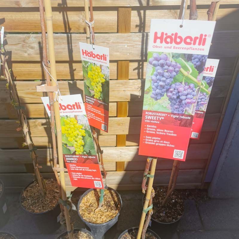 aus recyceltem Material