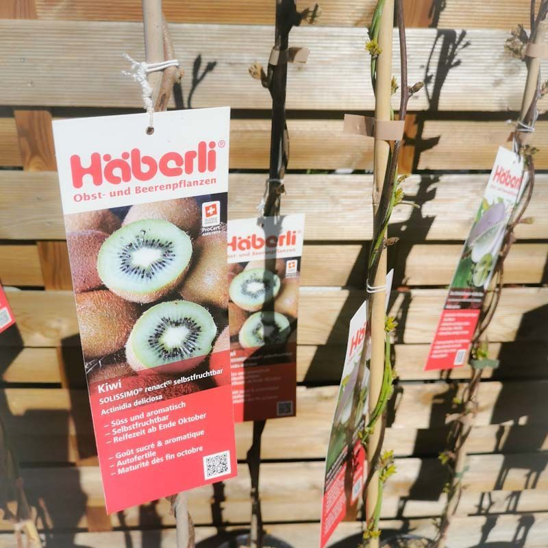 aus recyceltem Material