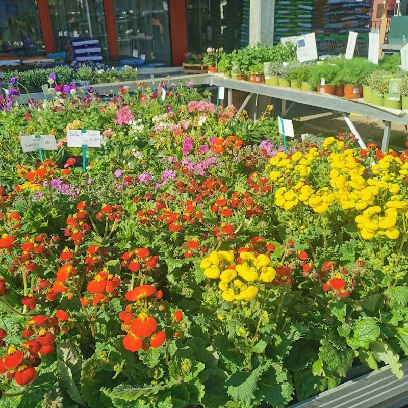 Gartenanlage - hollenstein blumengarten AG