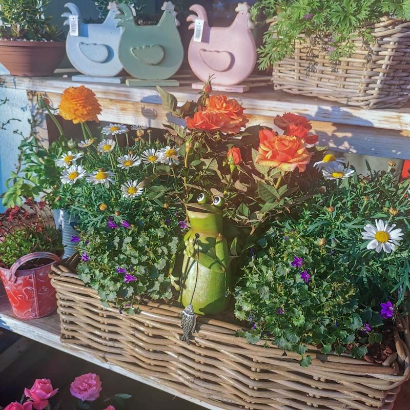 Gartenanlage - hollenstein blumengarten AG