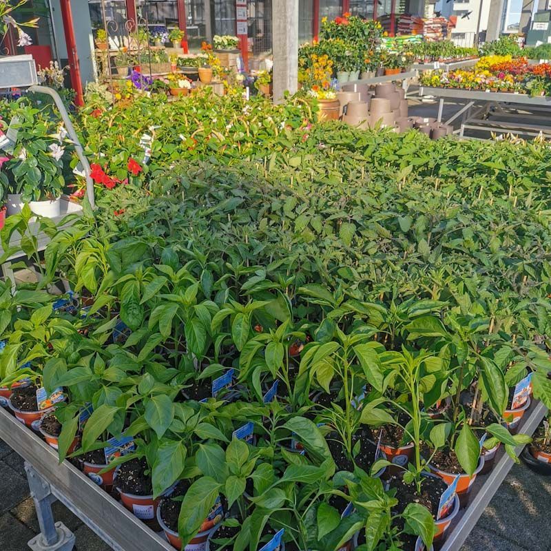 aus recyceltem Material