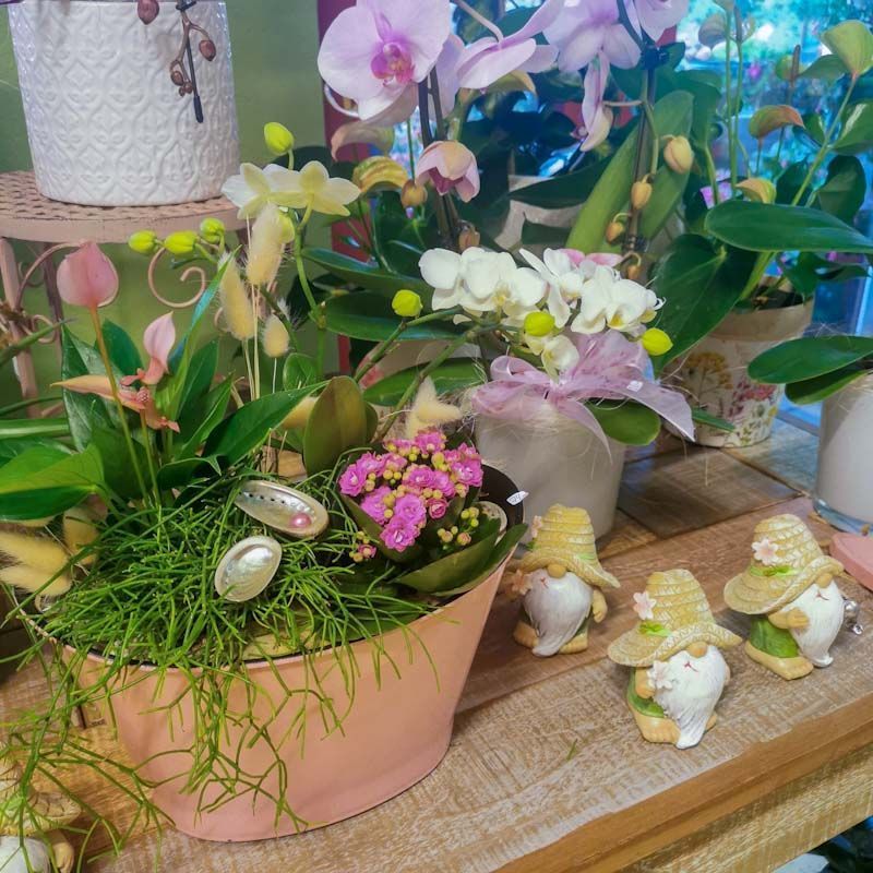 hollenstein blumengarten ag