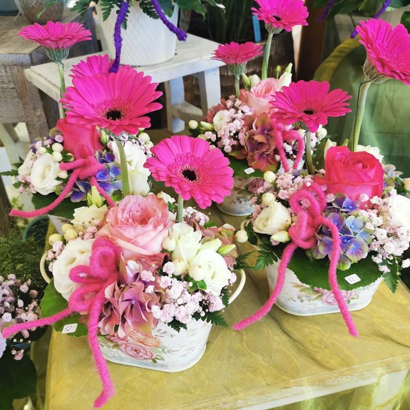 hollenstein blumengarten ag