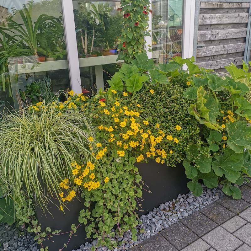 Gartenanlage - hollenstein blumengarten AG