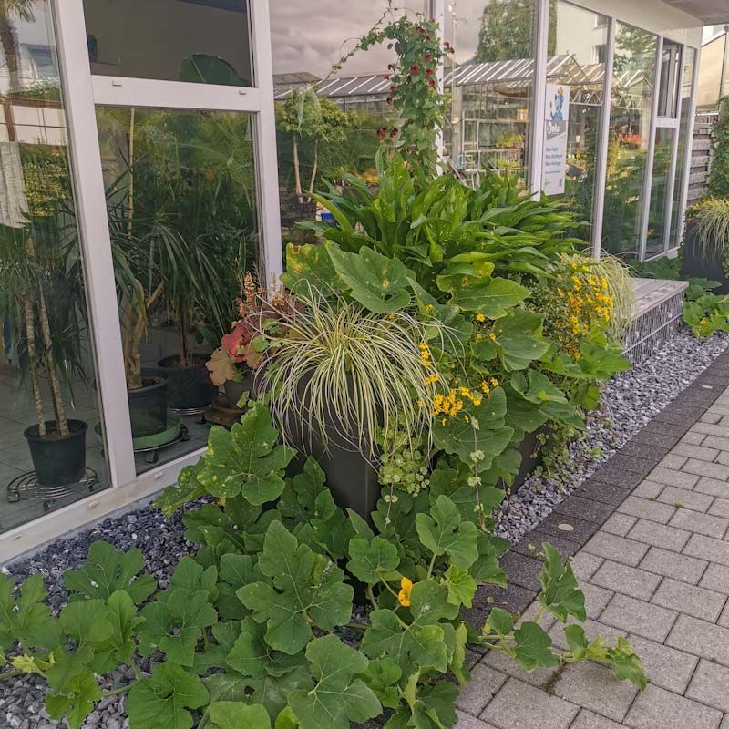 Gartenanlage - hollenstein blumengarten AG