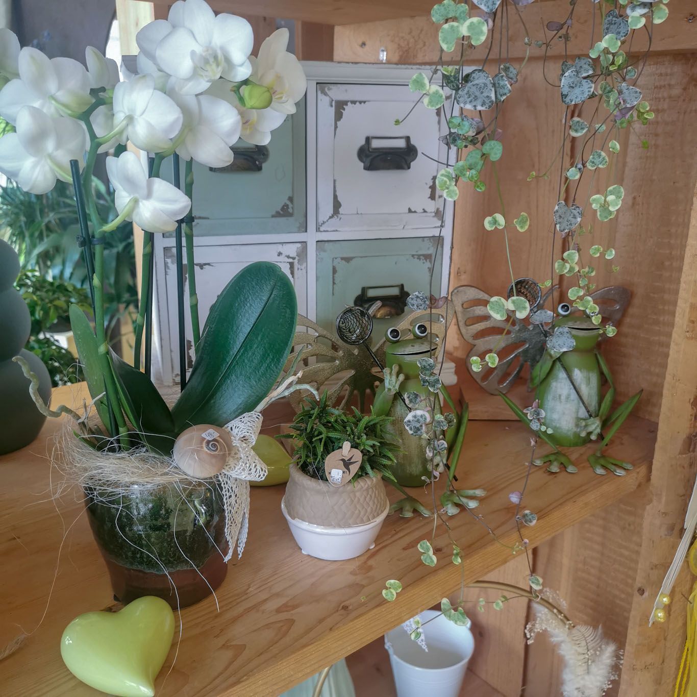 hollenstein blumengarten ag