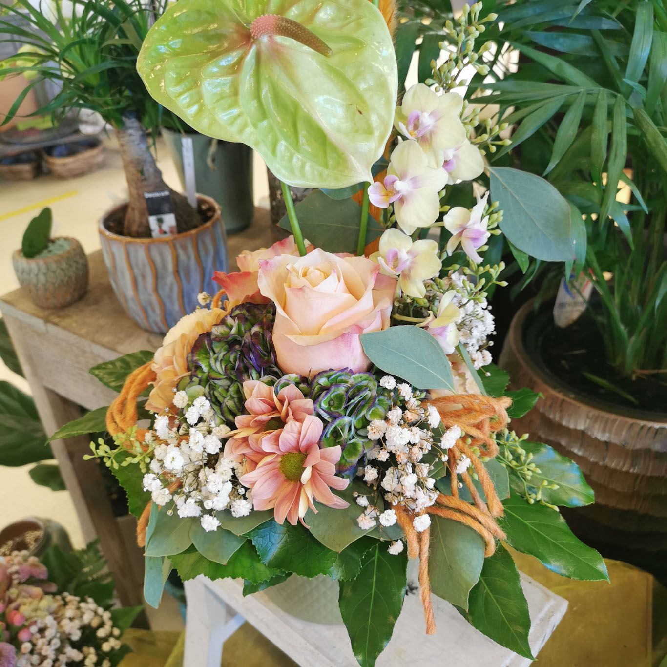 hollenstein blumengarten ag