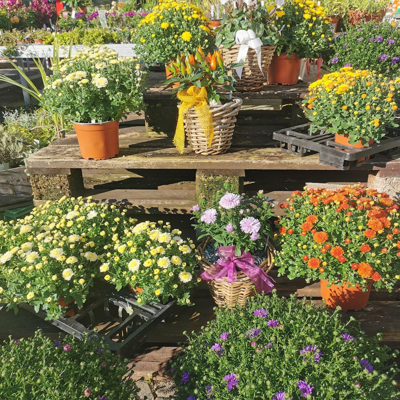 Gartenanlage - hollenstein blumengarten AG