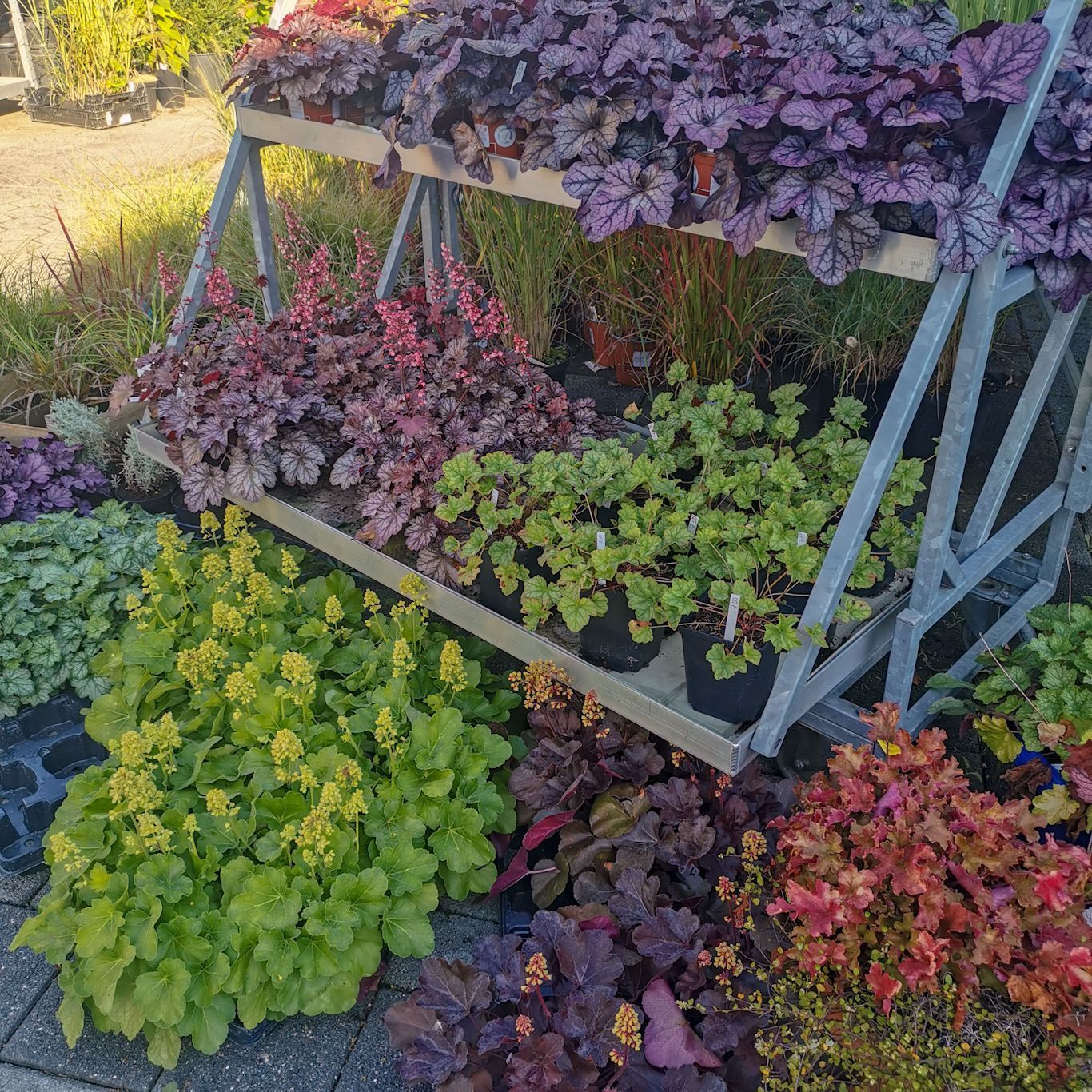 Gartenanlage - hollenstein blumengarten AG